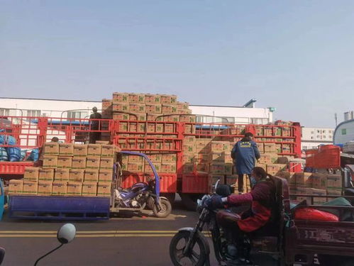 海露集团战略重组原江门市种业公司，推动种业振兴与水产品升级