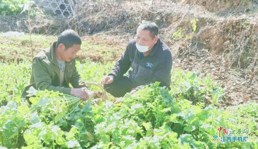 永修县云山集团新华村第一书记倾力助农 打通农产品销售渠道，助力脱贫致富