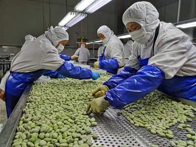 如东 释放“三农”新活力 初级农产品引领农村新气象