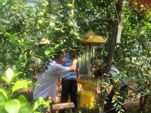 浙江义乌城西大队强化农产品监管，保障家禽市场安全