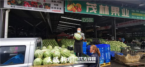 严把防疫关 守护出入安全线——贵阳农产品物流园多措并举严格家禽区域准入管控