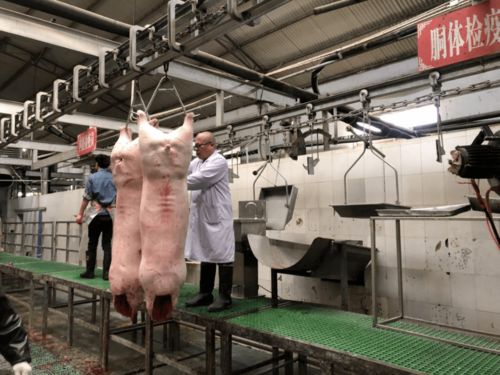 荥阳多措并举全力保障春节期间初级农产品供应